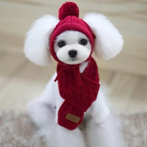 New red Knit Hat and scarf for very small dogs (I’d say size XS) - Picture 2 of 7